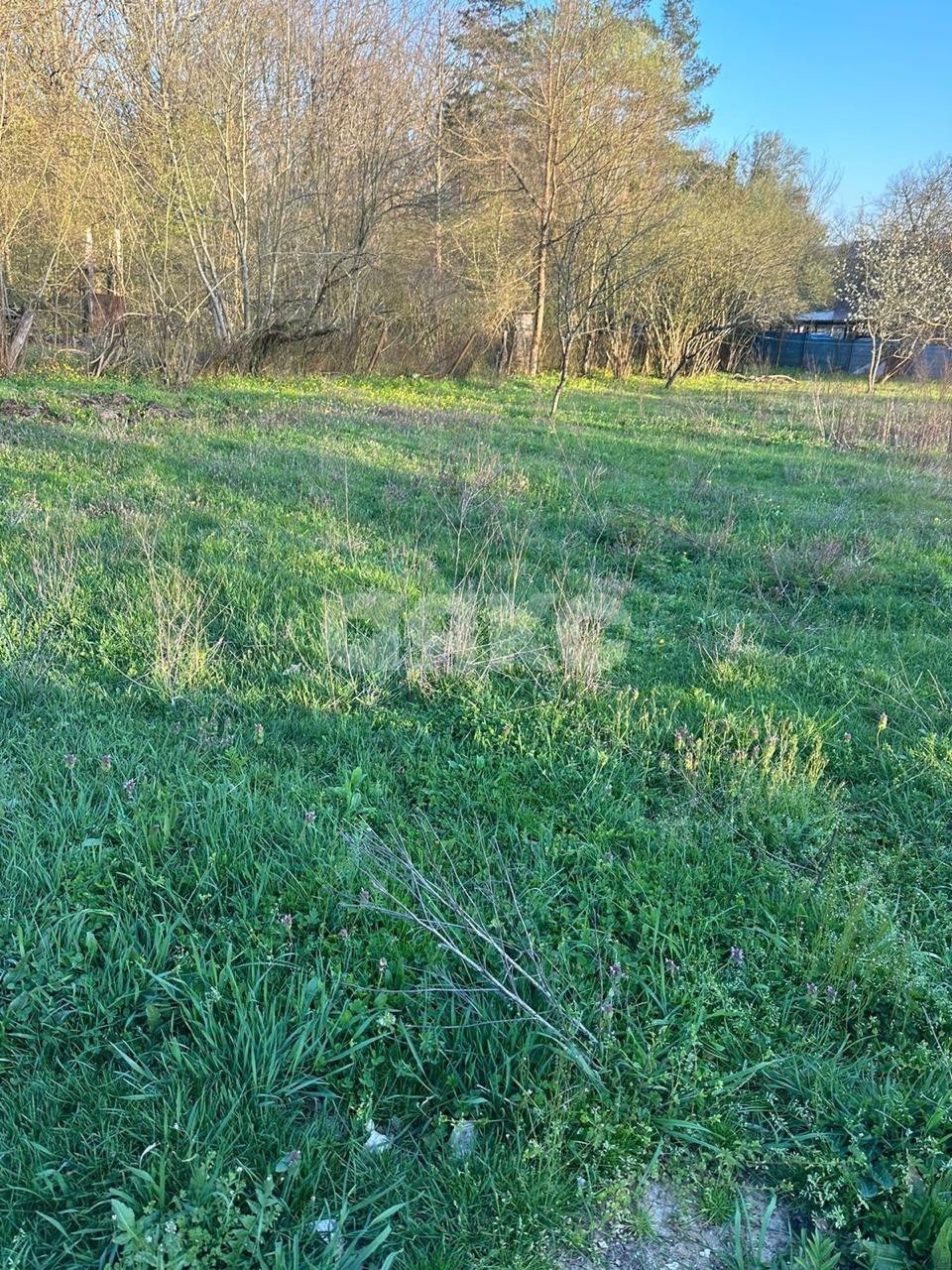 Фото №2: Земельный участок под ИЖС 16 сот. - Безымянное, ул. Родниковая, 2