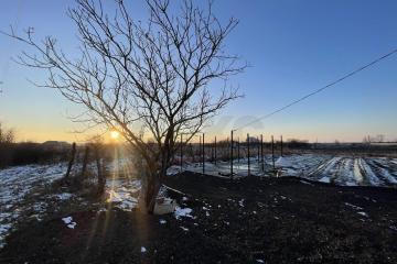 Фото №4: Земельный участок 24.11 сот. - Гатлукай, ул. Хакурате