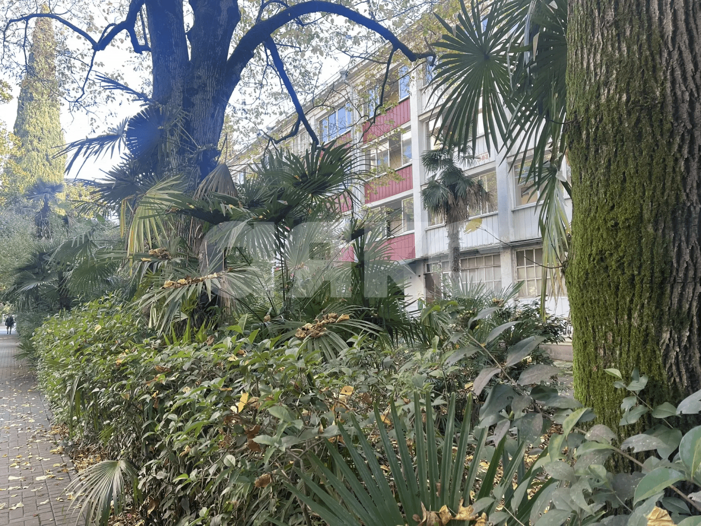 Фото №9: 1-комнатная квартира 27 м² - Сочи, Центральный, мкр. Гагарина, ул. Гагарина, 32