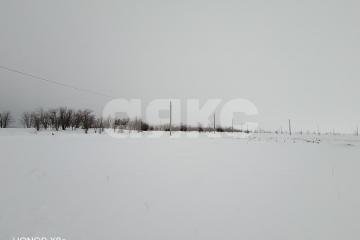 Фото №4: Участок садоводство - Царицын, мкр. садовые участки Микояновское, 