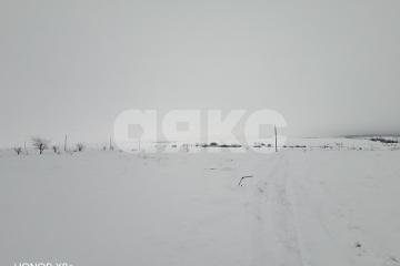 Фото №3: Участок садоводство - Царицын, мкр. садовые участки Микояновское, 