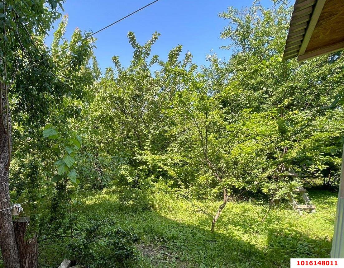 Фото №2: Земельный участок 4 сот. - Краснодар, Прикубанский внутригородской округ, Сады Калинина, ст КНИИСХ, ул. Ореховая, 46