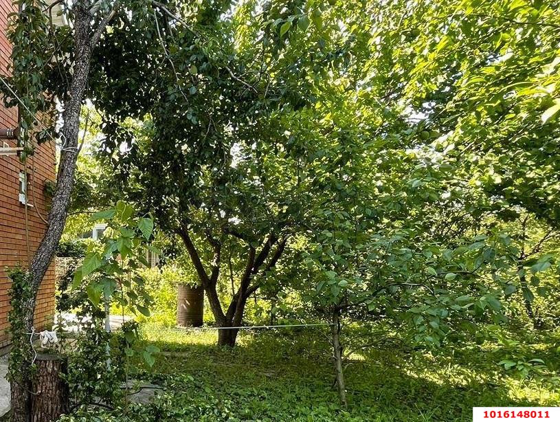 Фото №3: Земельный участок 4 сот. - Краснодар, Прикубанский внутригородской округ, Сады Калинина, ст КНИИСХ, ул. Ореховая, 46