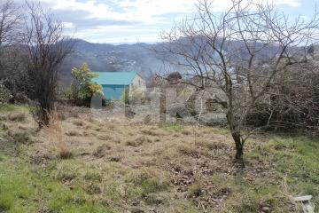 Фото №4: Личное подсобное хозяйство - Беранда, р. Лазаревский, ул. Араратская