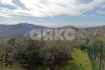 Фото №2: Личное подсобное хозяйство - Беранда, р. Лазаревский, ул. Араратская