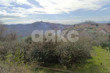 Фото №1: Личное подсобное хозяйство - Беранда, р. Лазаревский, ул. Араратская