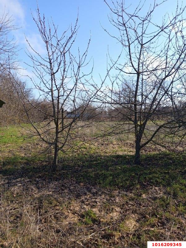 Фото №9: Дом 60 м² + 25 сот. - Воронцовская, ул. Колхозная, 44