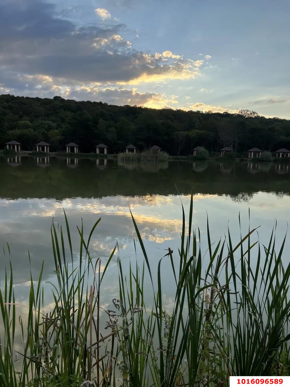 Фото №2: Земельный участок 4.28 сот. - Нижегородская