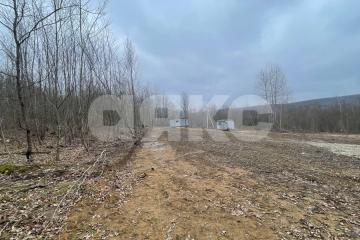 Фото №3: Участок садоводство - СНТ Дружба, 