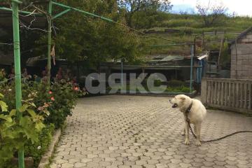 Фото №4: Дом 120 м² - Новоазовск, мкр. Будённовка, ул. Ленина