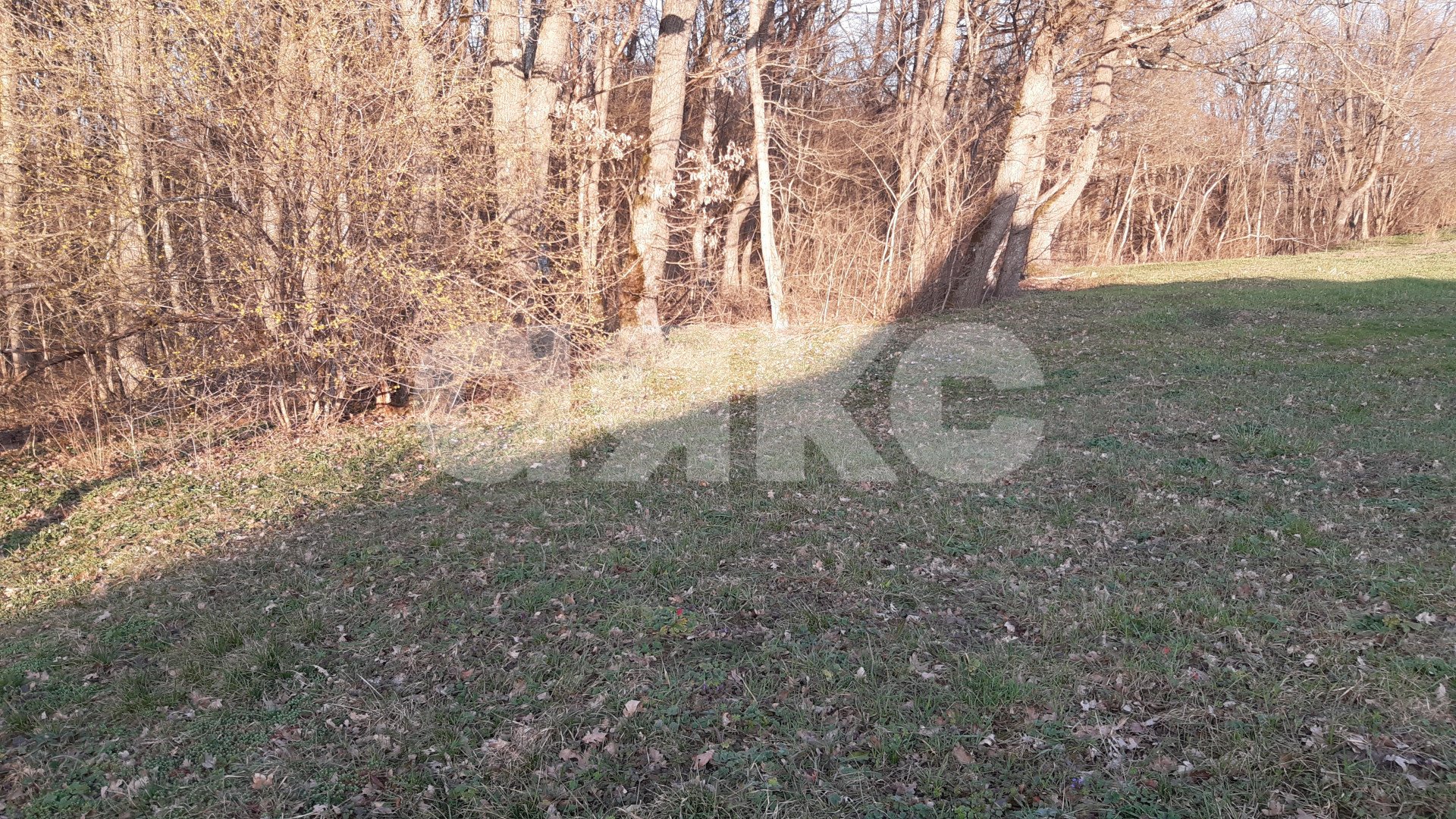 Фото №13: Земельный участок под ИЖС 10 сот. - Первомайский, ул. Ленина