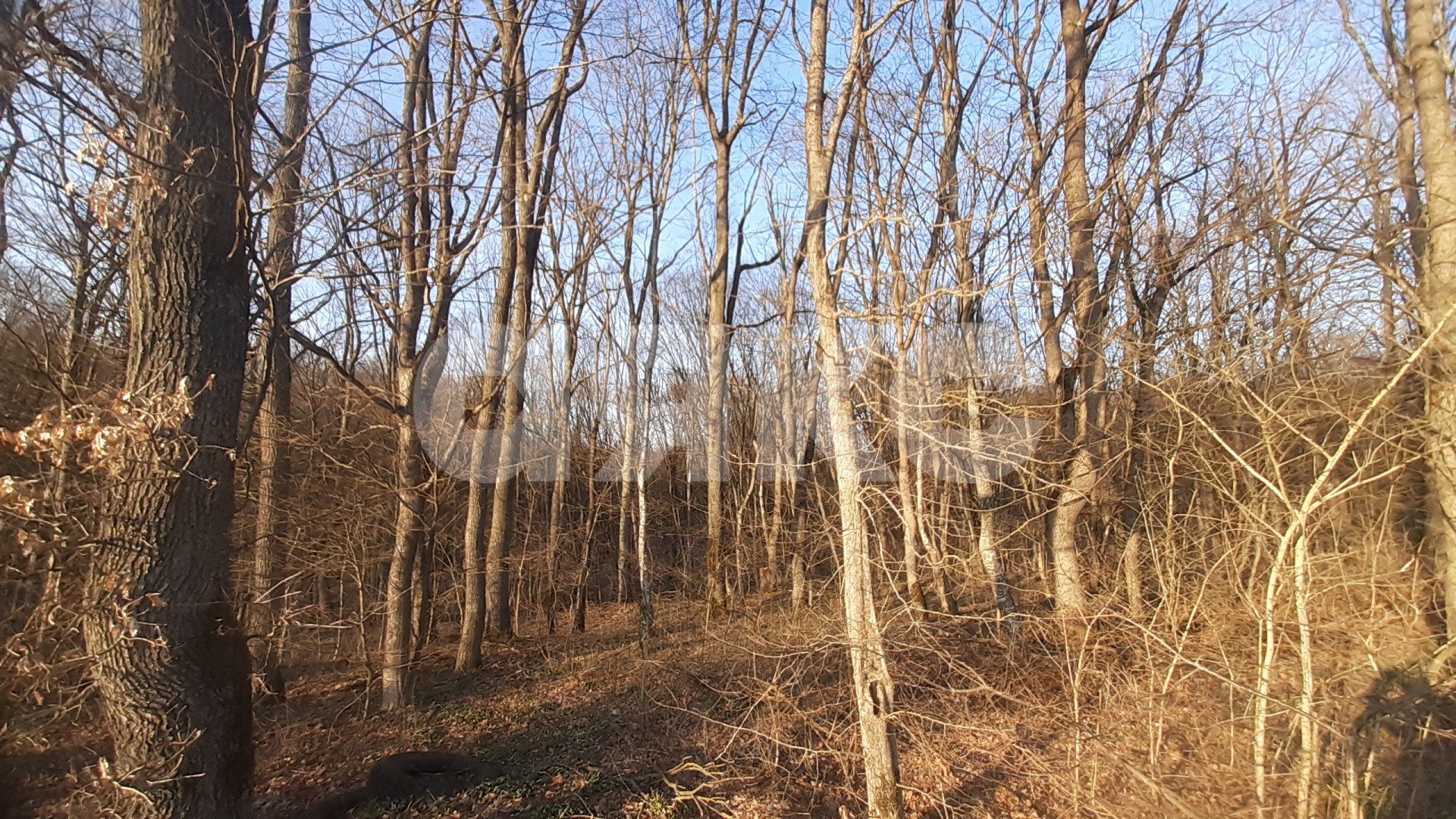 Фото №14: Земельный участок под ИЖС 10 сот. - Первомайский, ул. Ленина