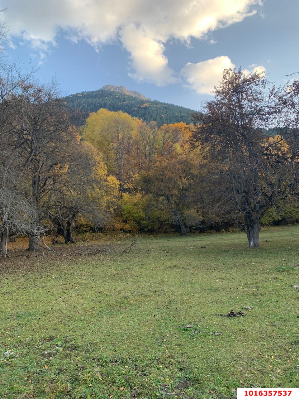 Фото №5: Земельный участок 50 сот. - Теберда, мкр. территория Джамагатское ущелье 2