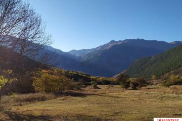 Фото №1: Земельный участок 50 сот. - Теберда, мкр. территория Джамагатское ущелье 2, 