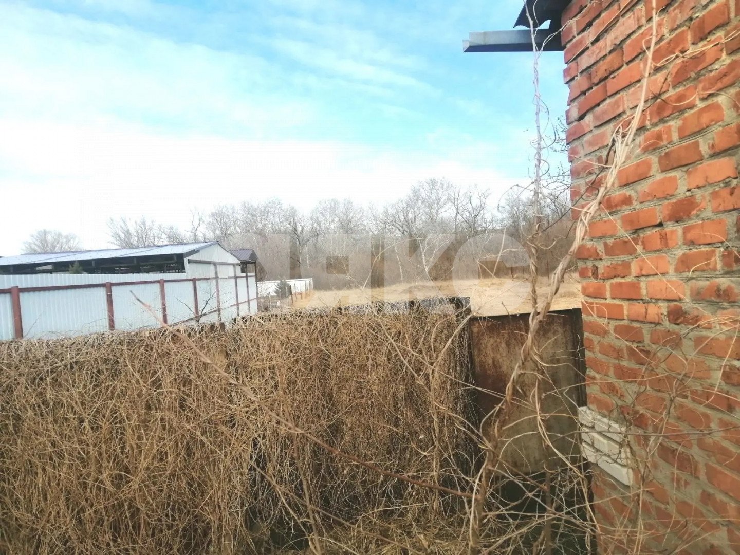 Фото №4: Дом 44 м² + 12 сот. - Вольное, ул. Мира, 2