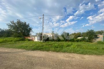 Фото №1: Земельный участок под ИЖС - Вольное, ул. Первомайская, 46