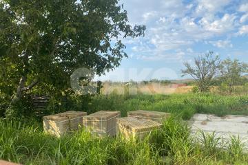 Фото №5: Земельный участок под ИЖС - Вольное, ул. Первомайская, 46