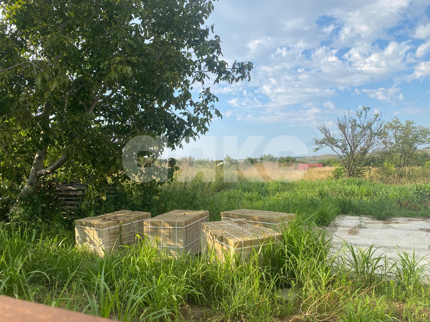 Фото №5: Земельный участок под ИЖС 7 сот. - Вольное, ул. Первомайская, 46