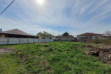 Фото №4: Личное подсобное хозяйство - Знаменский, ст Химик, ул. Вишнёвая, 138