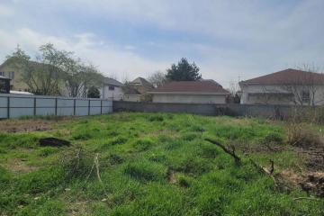 Фото №5: Личное подсобное хозяйство - Знаменский, ст Химик, ул. Вишнёвая, 138