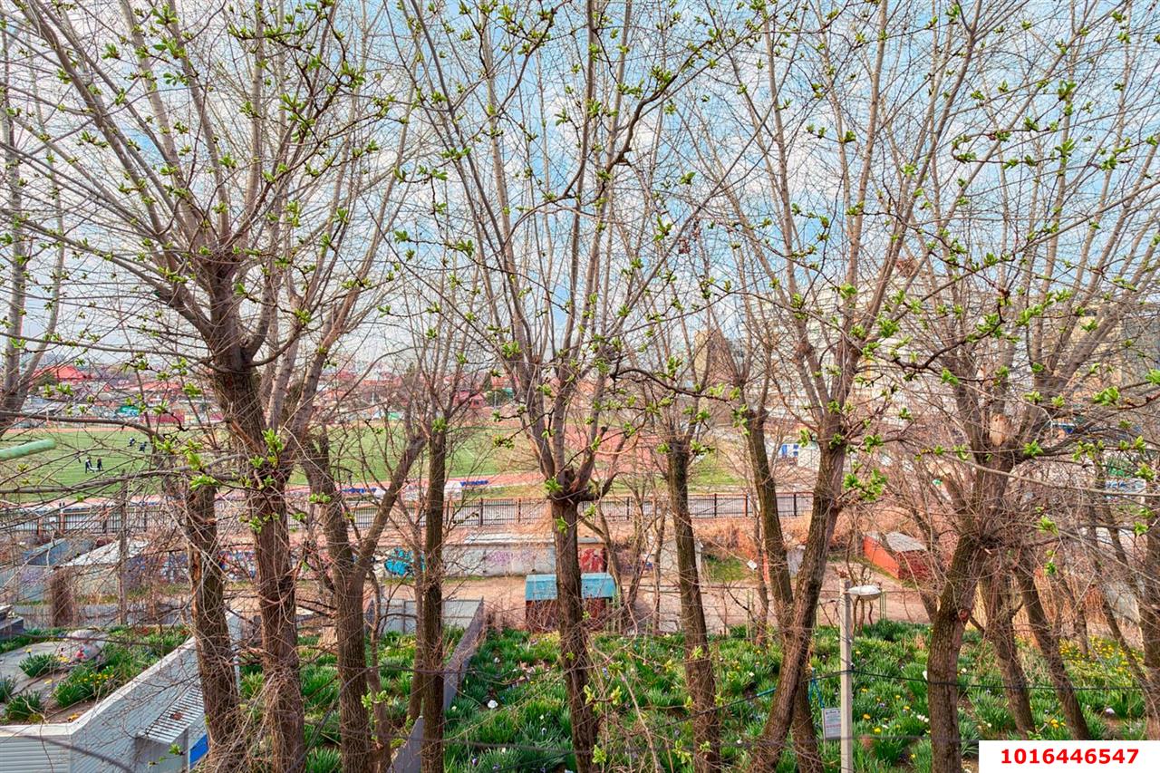 Фото №15: 1-комнатная квартира 28 м² - Краснодар, Центральный внутригородской округ, Покровка, мкр. Центральный, ул. Радио, 12