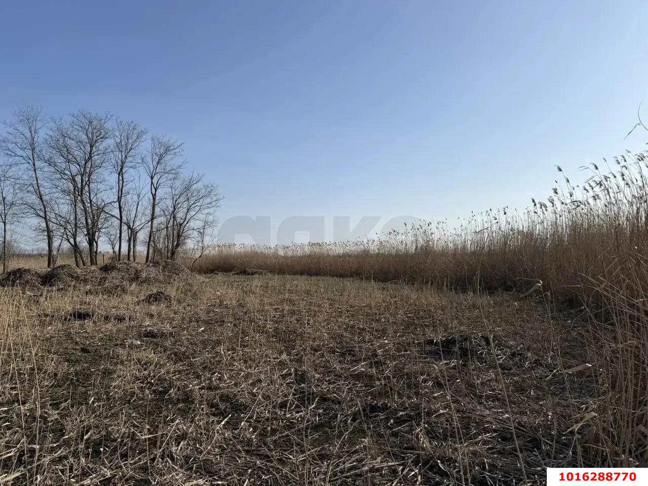 Фото №12: Земельный участок под ИЖС - Кореновск, мкр. 1-й квартал, ул. Короткая