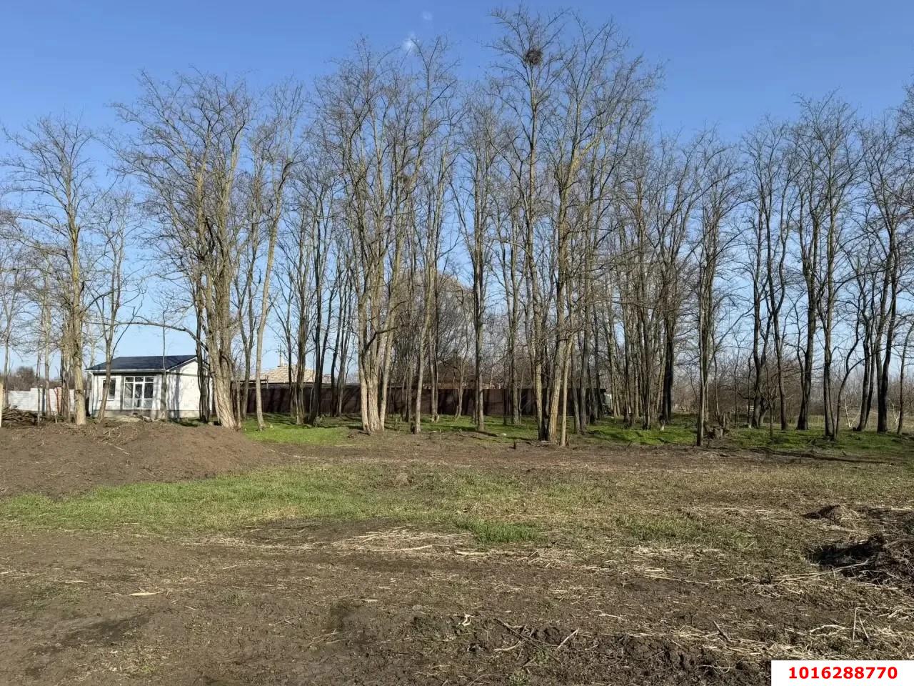 Фото №9: Земельный участок под ИЖС - Кореновск, мкр. 1-й квартал, ул. Короткая