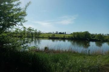 Фото №1: Коммерция 35 м² - Краснодарский край Усть-Лабинский район