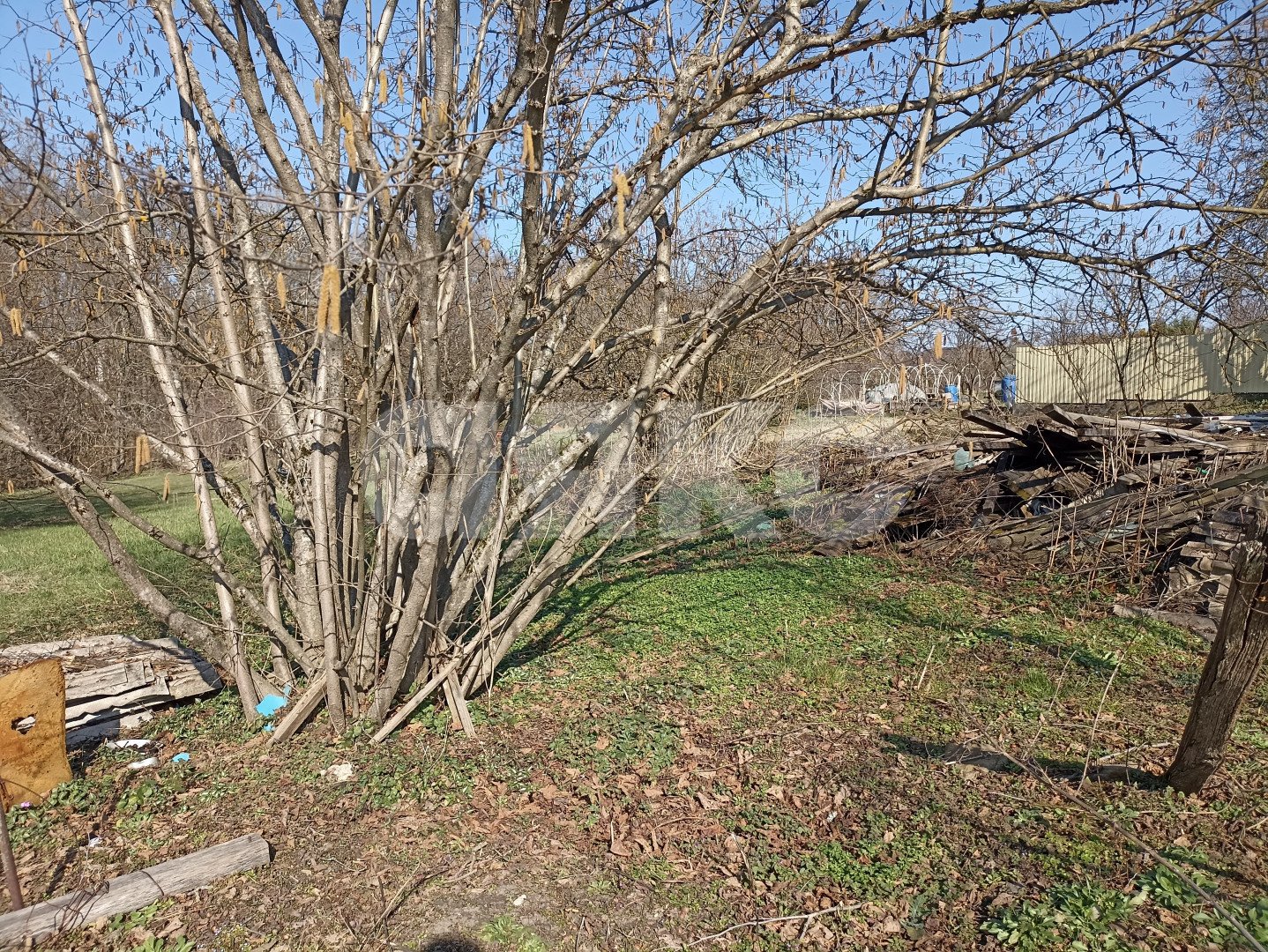 Фото №15: Земельный участок под ИЖС 24.5 сот. - Первомайский, ул. Комарова