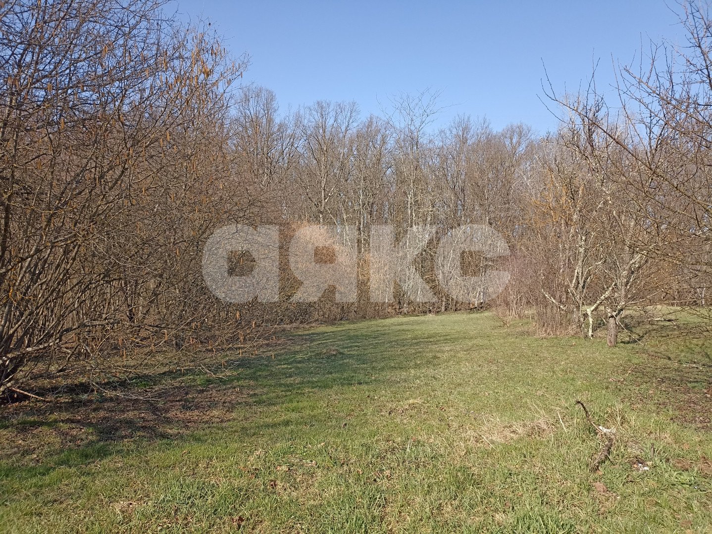 Фото №6: Земельный участок под ИЖС 24.5 сот. - Первомайский, ул. Комарова