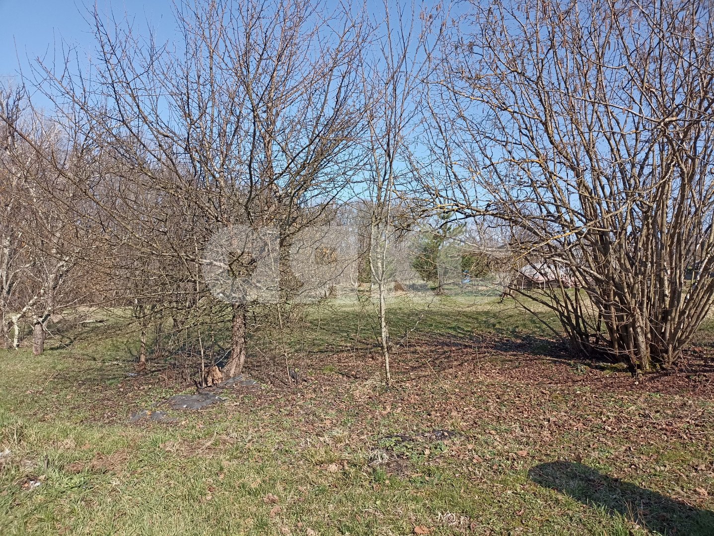 Фото №4: Земельный участок под ИЖС 24.5 сот. - Первомайский, ул. Комарова