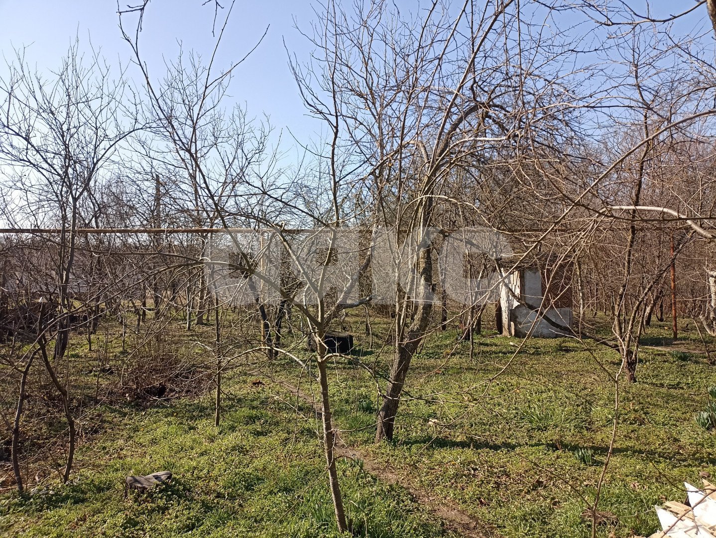 Фото №6: Личное подсобное хозяйство 26 сот. - Первомайский, ул. Гагарина