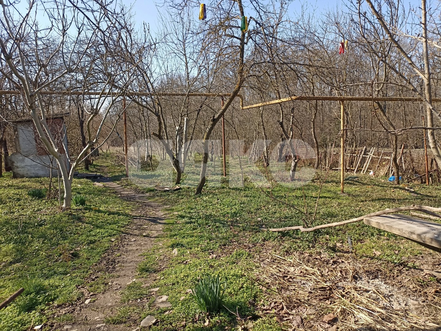 Фото №3: Личное подсобное хозяйство 26 сот. - Первомайский, ул. Гагарина