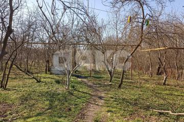 Фото №1: Личное подсобное хозяйство - Первомайский, ул. Гагарина