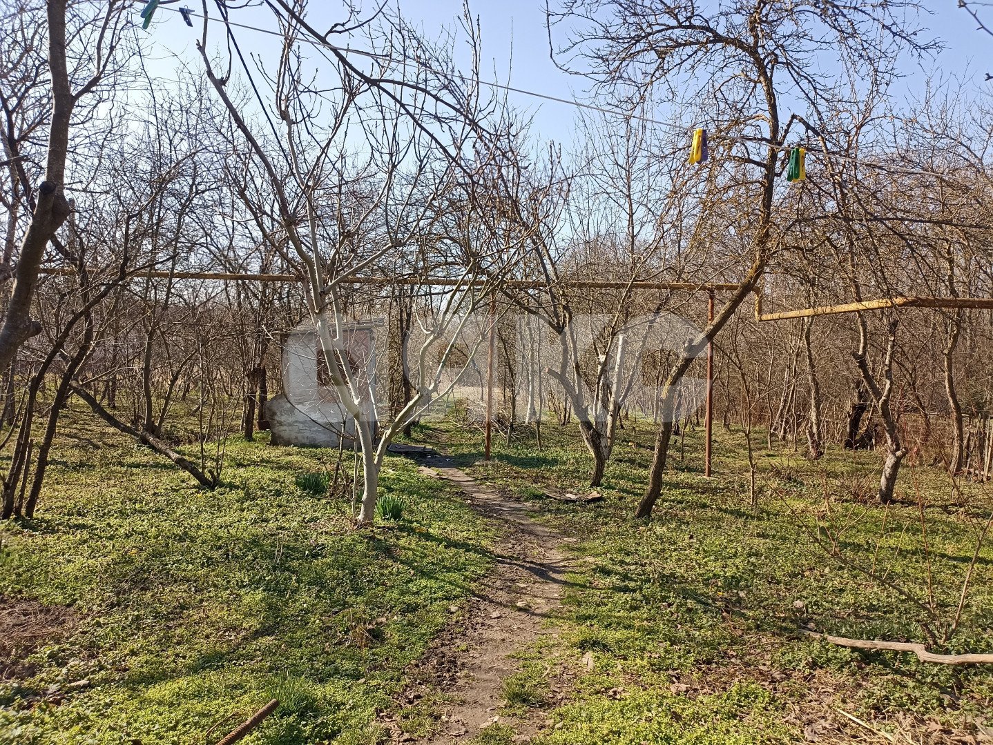 Фото №1: Личное подсобное хозяйство 26 сот. - Первомайский, ул. Гагарина