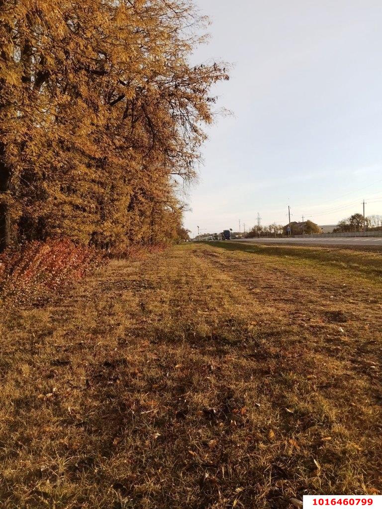 Фото №3: Коммерция 200 м² - Краснодар, мкр. Карасунский внутригородской округ