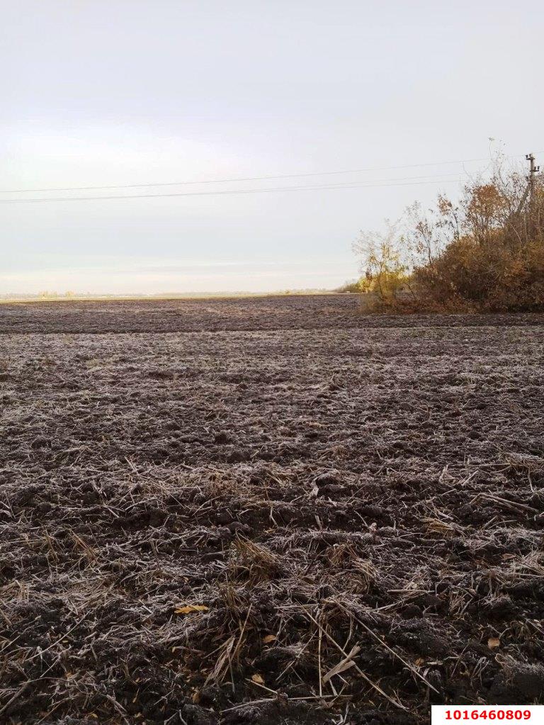 Фото №1: Коммерция 200 м² - Краснодар, мкр. Карасунский внутригородской округ