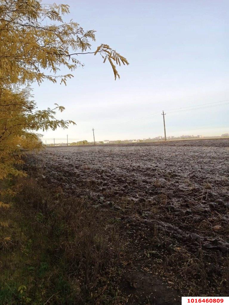 Фото №2: Коммерция 200 м² - Краснодар, мкр. Карасунский внутригородской округ