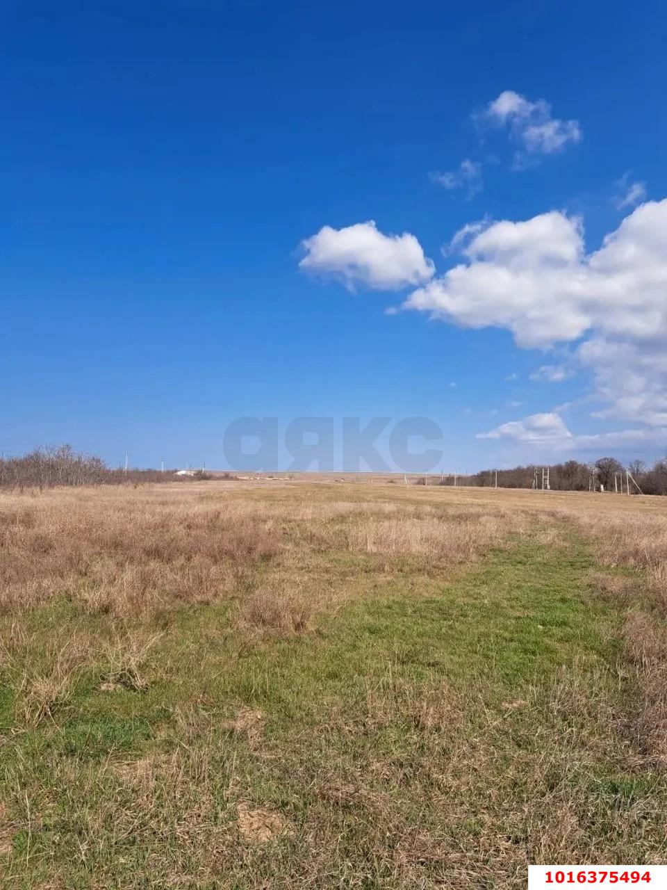 Фото №4: Земельный участок под ИЖС - Оленевка, пр-д Садовый, 1