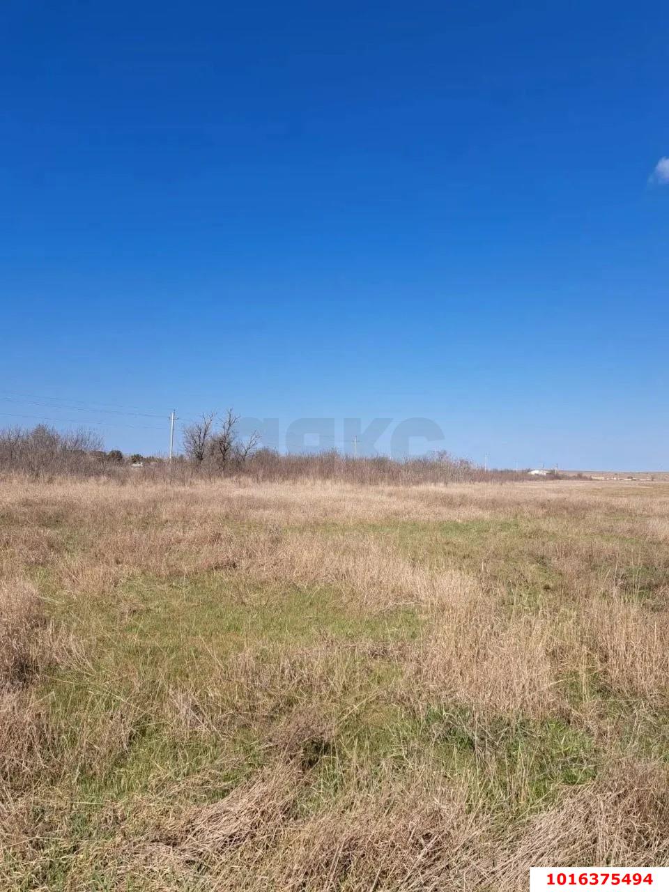 Фото №3: Земельный участок под ИЖС - Оленевка, пр-д Садовый, 1