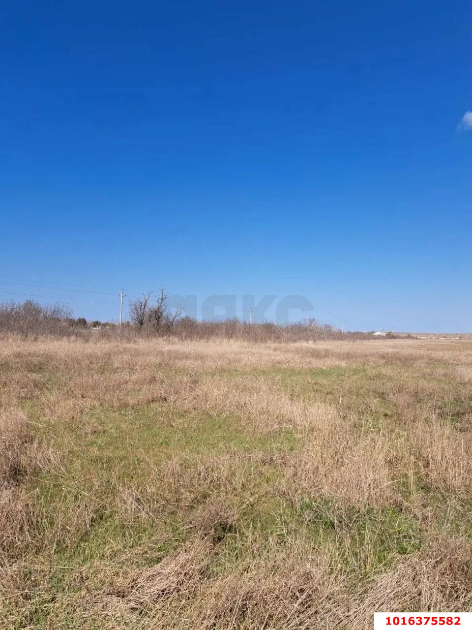 Фото №3: Земельный участок под ИЖС - Оленевка, пр-д Садовый, 3