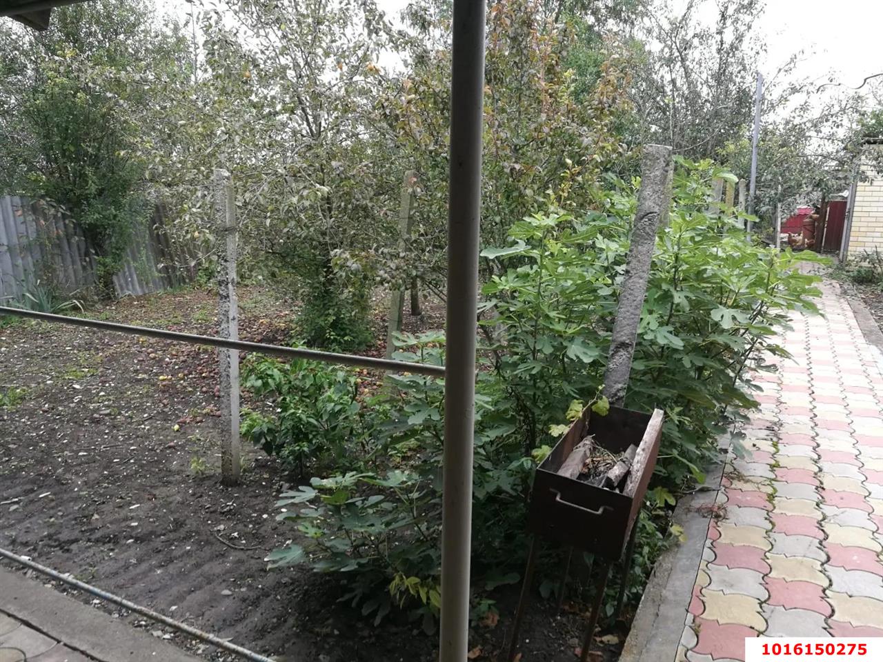 Фото №14: Дом 96 м² + 14 сот. - Виноградный, ул. Дружбы, 32