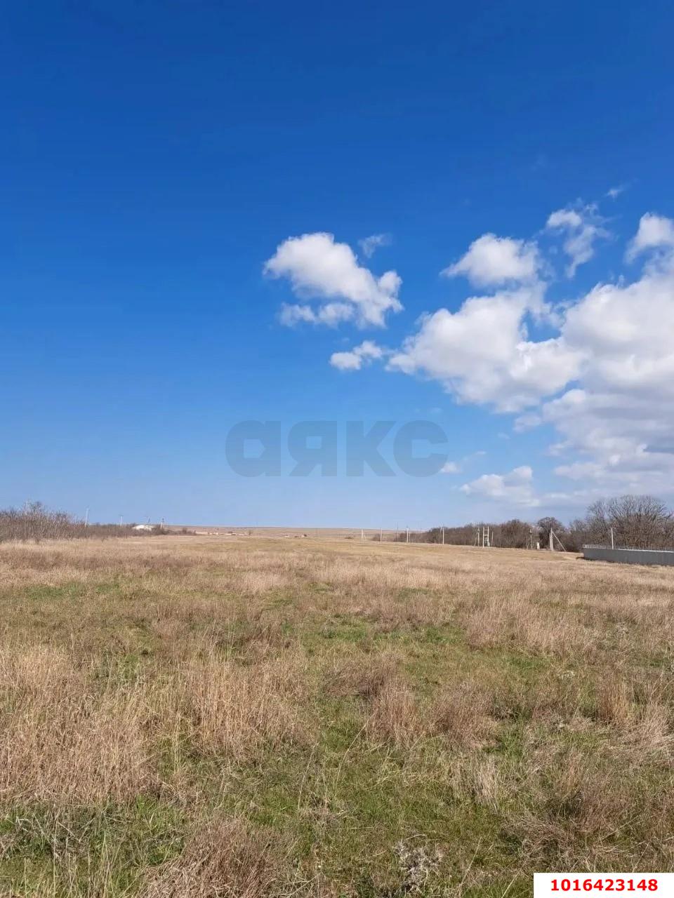 Фото №2: Коммерческая земля 680 сот. - Новосельское, ул. Ивана Жудова