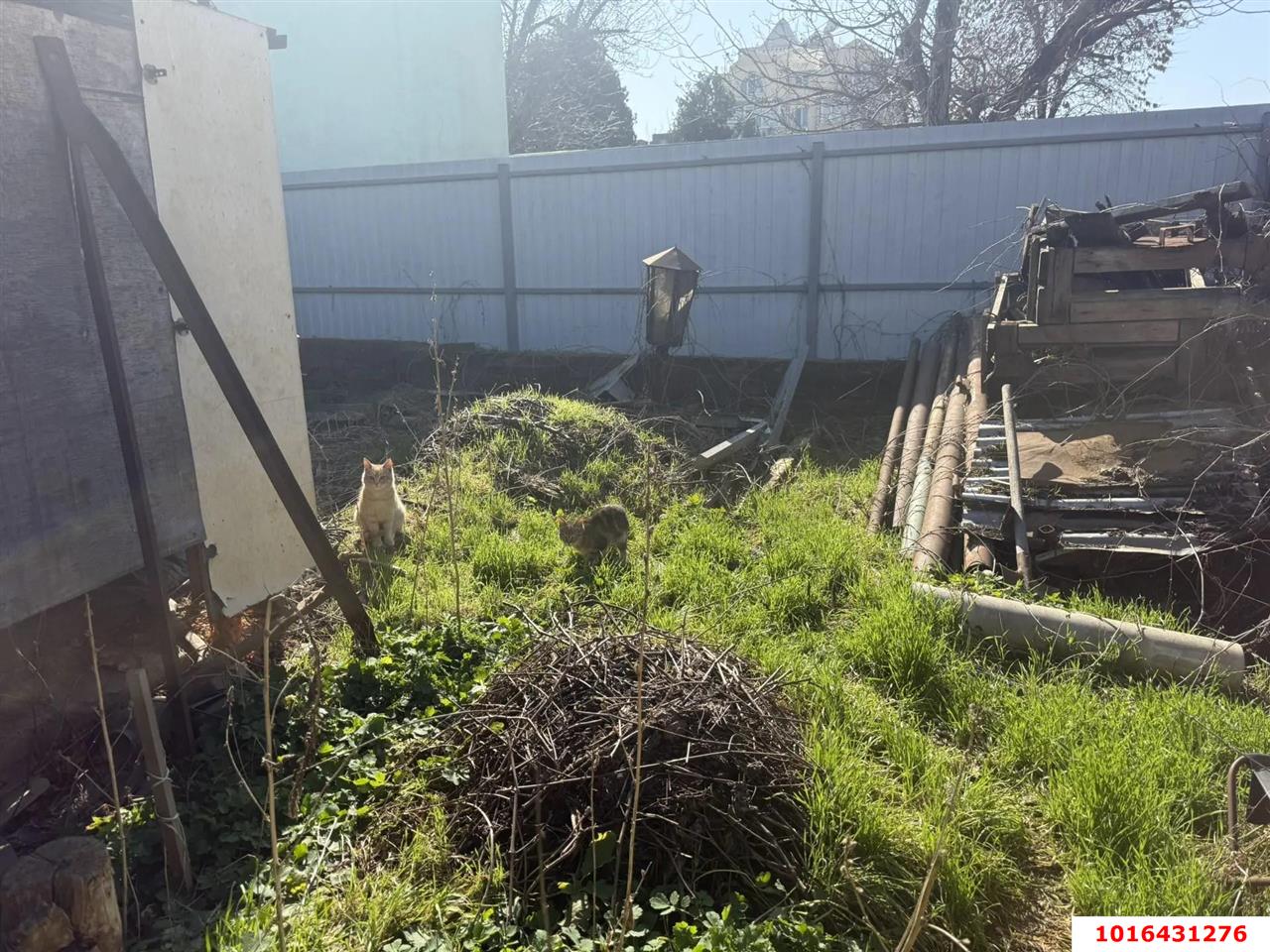 Фото №6: 1-комнатная квартира 46 м² - Краснодар, Центральный внутригородской округ, мкр. Центральный, ул. Чапаева, 124