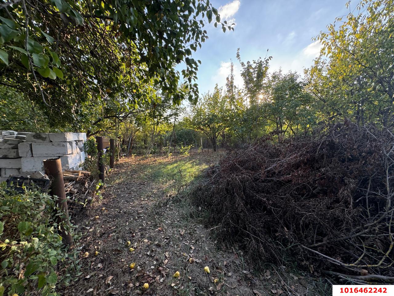 Фото №7: Земельный участок 8 сот. - Знаменский, Карасунский внутригородской округ, мкр. СТ Чайка, ул. Абрикосовая, 21