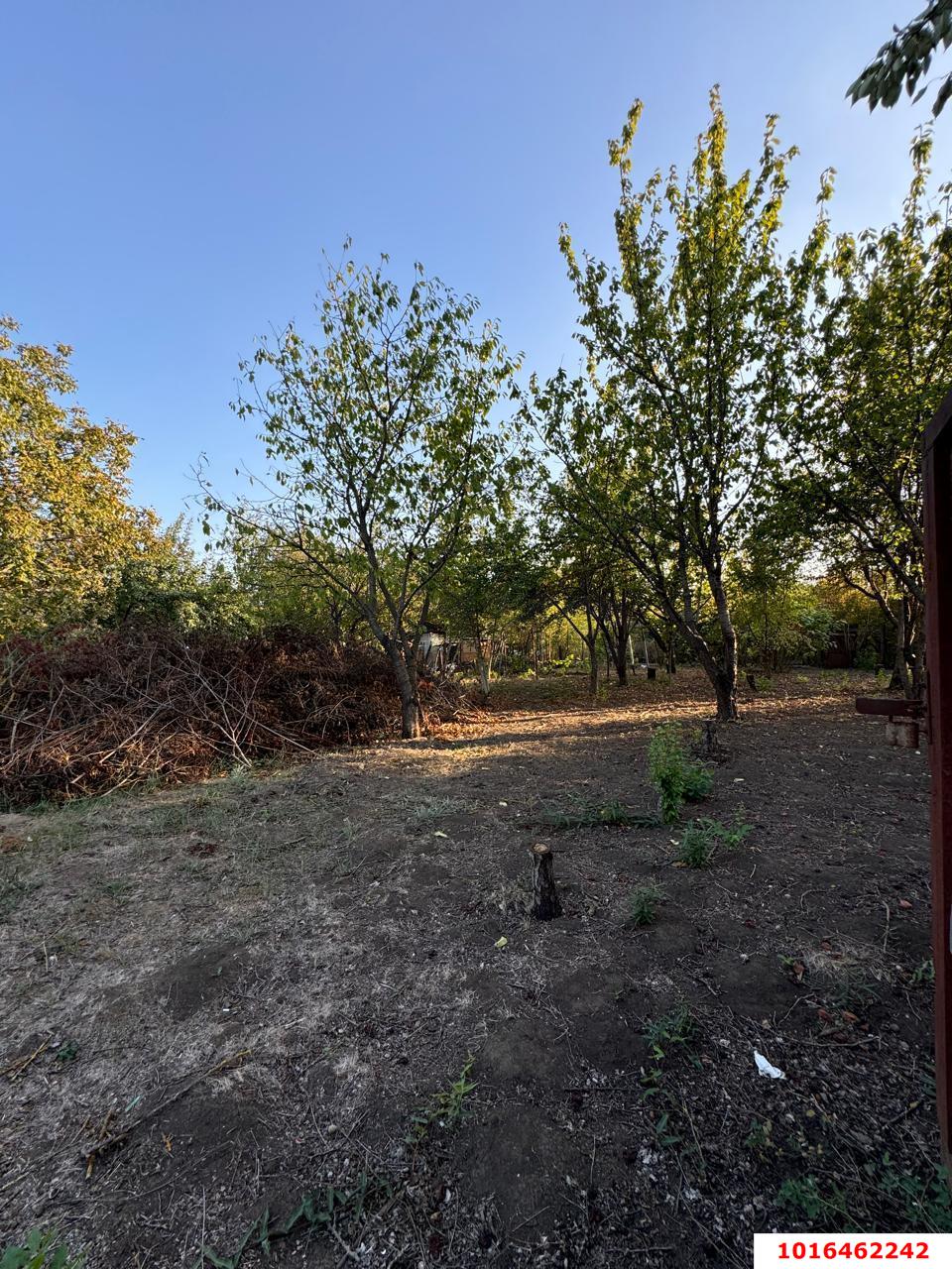 Фото №6: Земельный участок 8 сот. - Знаменский, Карасунский внутригородской округ, мкр. СТ Чайка, ул. Абрикосовая, 21