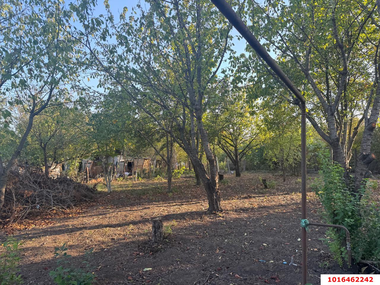 Фото №9: Земельный участок 8 сот. - Знаменский, Карасунский внутригородской округ, мкр. СТ Чайка, ул. Абрикосовая, 21