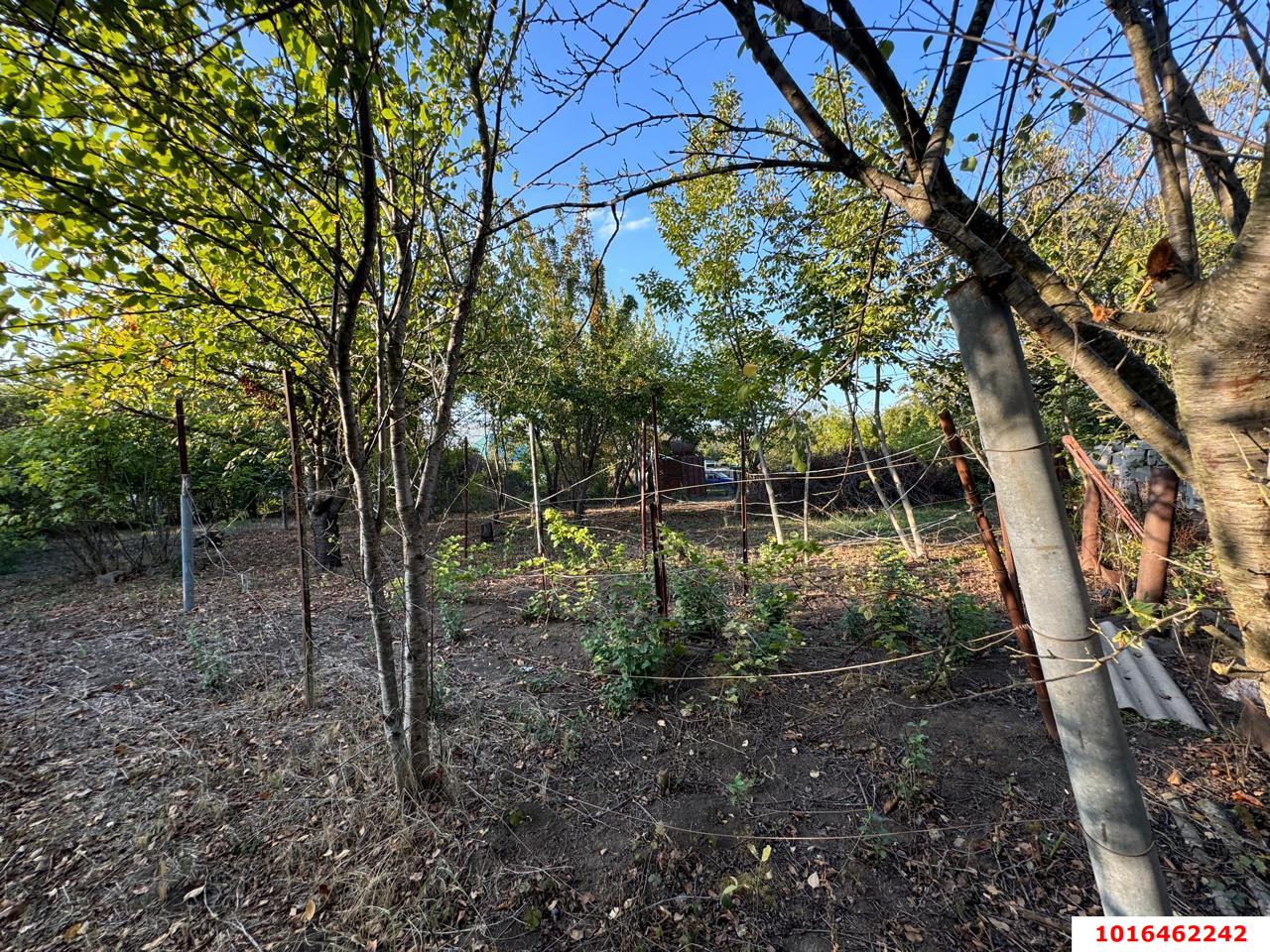 Фото №8: Земельный участок 8 сот. - Знаменский, Карасунский внутригородской округ, мкр. СТ Чайка, ул. Абрикосовая, 21