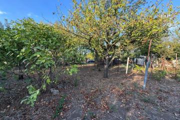 Фото №4: Земельный участок 8 сот. - Знаменский, мкр. СТ Чайка, ул. Абрикосовая, 21