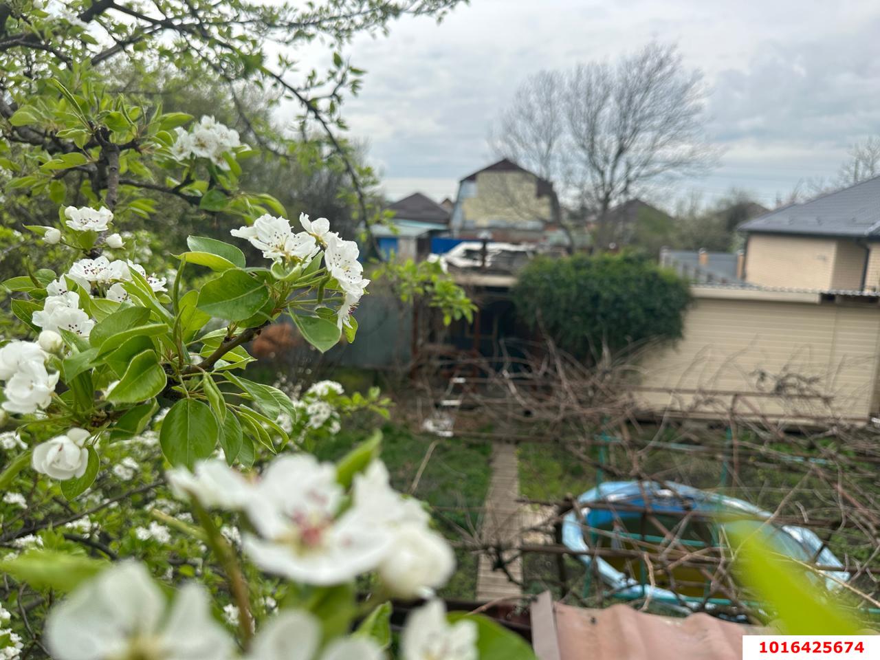 Фото №14: Дом 50 м² + 4 сот. - СНТ Автомобилист, мкр. Прикубанский внутригородской округ, ул. Виноградная, 213